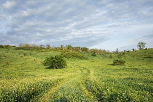 Quels sont les meilleurs circuits pour une découverte des vignobles en Toscane, Italie : itinéraires et dégustations ?