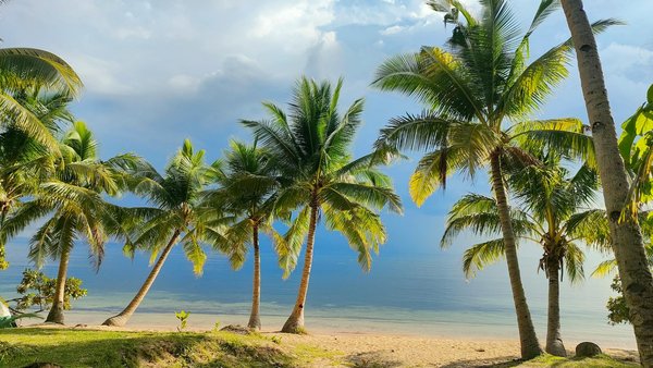 Où séjourner pour des vacances en Toscane avec des cours de cuisine végétarienne et des visites de fermes locales?