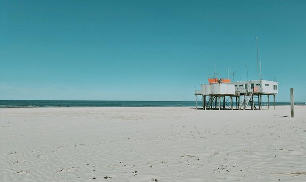 Quels conseils pour louer un chalet en Suisse avec des randonnées alpines et des visites de chocolateries?